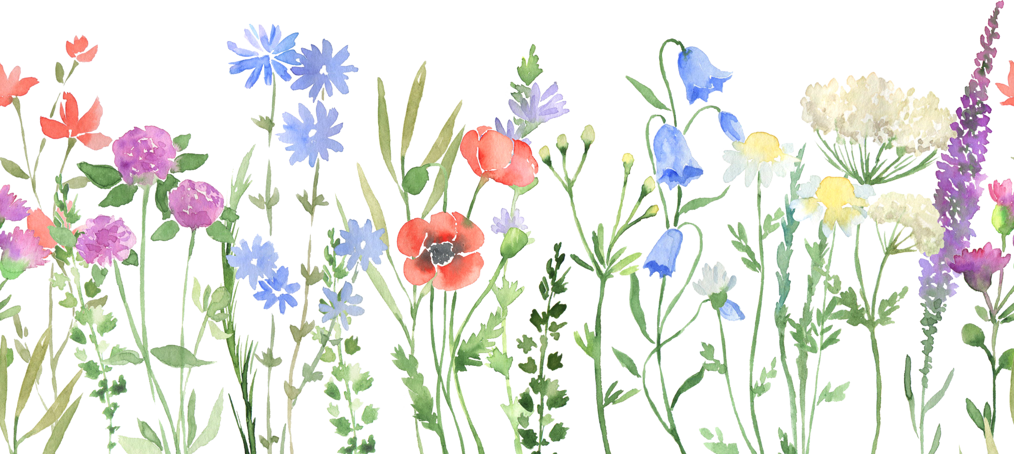 Watercolor Wildflowers Seamless Border